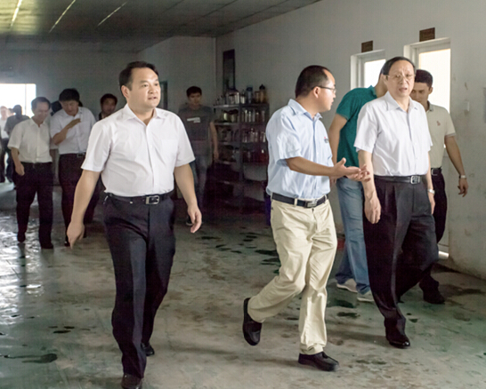 安徽省委副書記、省長(zhǎng)王學(xué)軍蒞臨安徽柯力視察