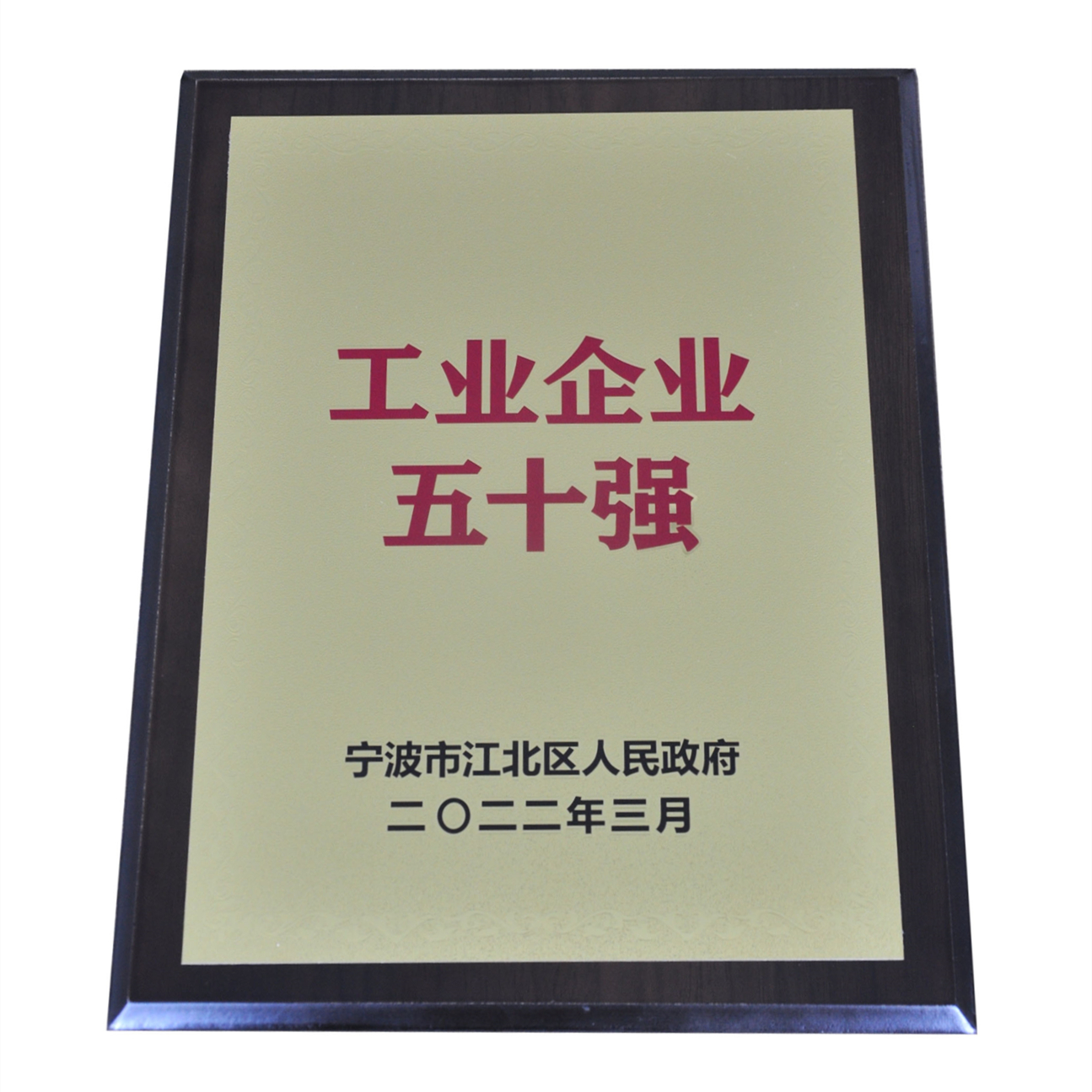 公司榮獲工業(yè)企業(yè)五十強(qiáng)